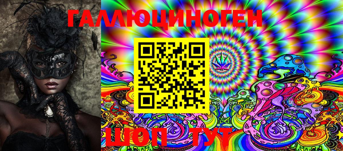 Псилоцибиновые грибы Psilocybe Амурск