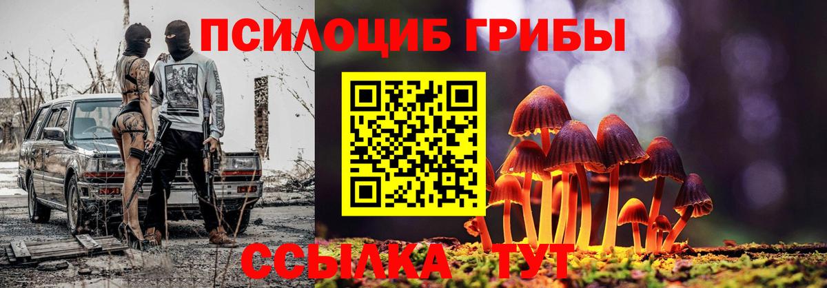 Амурск  Галлюциногенные грибы Psilocybine cubensis  Вход с VPN 